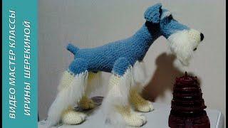 Великолепный пес цвергшнауцер,ч.3.  Magnificent dog Miniature Schnauzer, р.3. Amigurumi. Crochet.