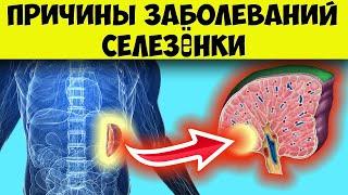 Селезенка симптомы. Основные причины заболеваний селезёнки и методы диагностики