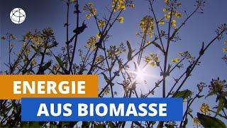 Energie aus Biomasse - total phänomenal | Planet Schule