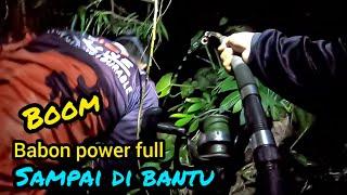 mancing sidat/julit, tarikannya full power #mancing #mancingmania #bali #ikan #mancingsidat