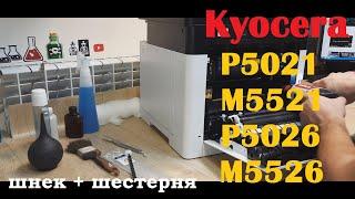 Kyocera M5521 / M5526 Полосы. Грязная печать. Бледная печать / Stripes. Dirty print. pale print