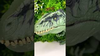 Big Baby Giganotosaurus #dinosaurs #dinosaurtoys