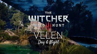 Witcher 3 - Velen Day and Night - Music & Ambience