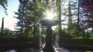 The Grounds at Park Winters