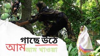 খুশী চাচীর বাড়ির আম কাঁঠাল অনেক মজা | Village Life With Shampa