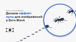 Делаем эффект лупы для изображений в Zero Block