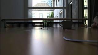 Stop Motion