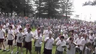 Catching The Reading Wave - Cronulla