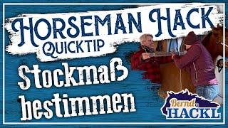 Stockmaß messen | HORSEMAN HACK 