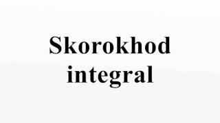 Skorokhod integral