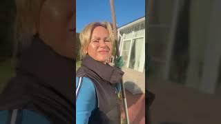 В Подмосковье теплынь, как жаль, что впереди морозы и снег #garden #садоводничество