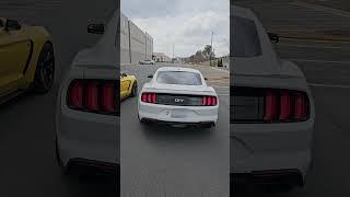 Mustang 5.0 vs. Shelby GT350