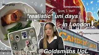 Realistic* days in the life of uni student ​@Goldsmiths London