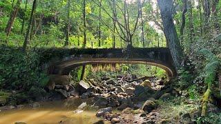 Abandoned Bridge to Nowhere