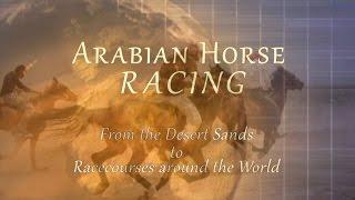 Arabian Horse Racing~ From the Desert Sands to Racecourses around the World - The Trailer