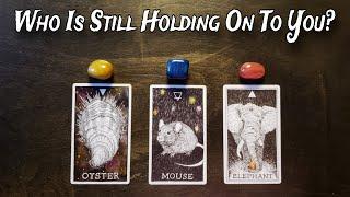  Who Is Still Holding On To You?  Pick A Card Love Reading