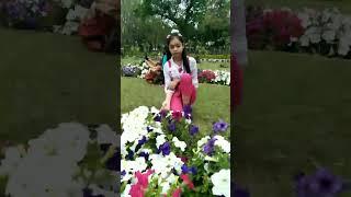 I am in the field of blossoms.... @Alina Rahman #trending#vibes#flowers