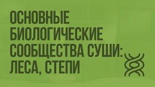 Основные биологические сообщества суши: широколиственные леса, степи. Видеоурок по биологии 11 класс