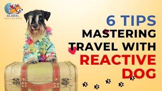 6 Tips for Mastering Travel with Your Reactive Dog | Ani Training | Global Dog Training