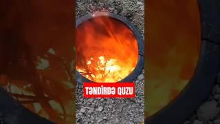 Təndirdə quzu | #təndir #youtubeshorts #тандыр #kabab #quzu #шашлык #delicous #deliciousfood #cənub