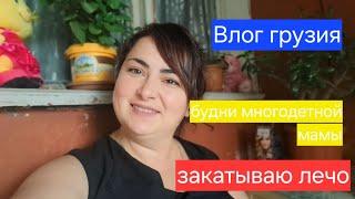 Семейный Влог .Будни многодетной мамы.Закатываю лечо.Грузия.Тбилиси.