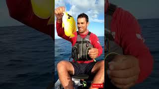 Fishing Paradise at Sea  Unbelievable Ocean Catches in 4K