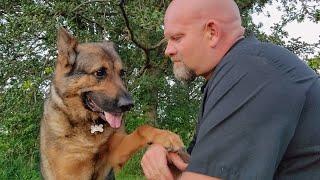 Saying Goodbye To Opie // Thank You