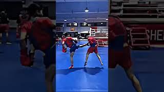 Wushu fights