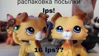 Lps: распаковка:  большая посылка с lps! колли? таксы? стоячки!!