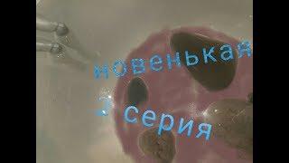 Новенькая ||1 сезон 2 серия || Stop motion