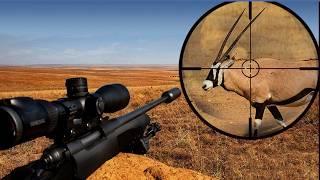 Epic Gemsbok KILL SHOTS Compilation