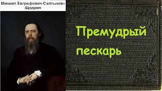 Михаил Салтыков-Щедрин.  Премудрый пескарь. аудиокнига.