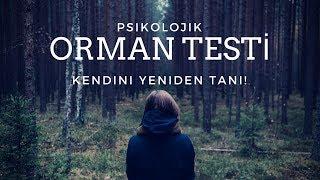 KENDİNİZİ YENİDEN TANIYIN! Psikolojik Orman Testi