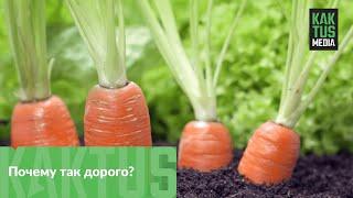 Почему морковь такая дорогая?