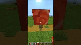 ВОЗДУШНЫЙ ШАР - ЭТО РЕАЛЬНО#майнкрафт #shorts #minecraft