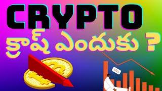 Crypto Crash Explained Telugu | Why Market Crashing Telugu ( Telugu Crypto Badi)
