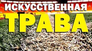 Галилео. Искусственная трава