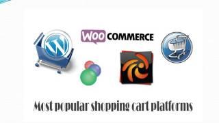 Select Right Shopping Cart Software for your Ecommerce Business