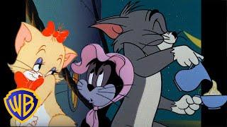 Tom & Jerry | Purrrrfect Cats!  | Classic Cartoon Compilation | @wbkids​