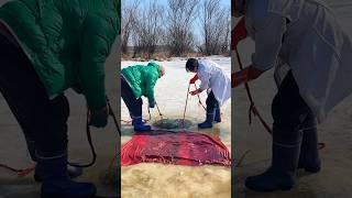 Fishing in the ice zone #shorts #factsoppy #shortsvideo