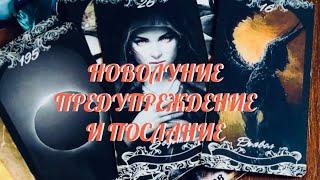 НОВОЛУНИЕ   ПРЕДУПРЕЖДЕНИЕ ‼️ И ПОСЛАНИЕ ДЛЯ ВАС ОТ ВЫСШИХ СИЛ ‼️ Таро Онлайн Расклад