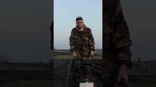 Междурядная обработка чеснока.