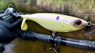 Entire River WENT OFF On This NEW Topwater Lure