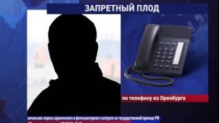 Запретный плод