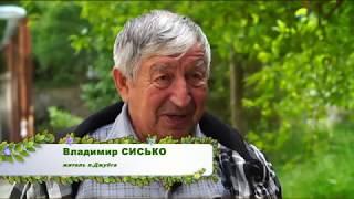 Жители п.Джубга Туапсинского района встали на защиту местного предпринимателя Валерия Молчанова