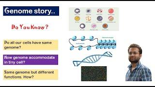 Same genome different fates and function!