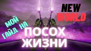 Мамкин хиллер или как овладеть посохом жизни | New World | Life staff guide | PVE & PVP BUILD