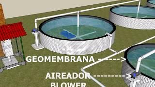 UNIDAD INTENSIVA PARA PISCICULTURA CON ESTANQUES DE GEOMEMBRANA DE 800 MICRAS