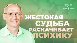 Чему учит жестокая судьба? (Торсунов О. Г.)