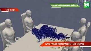 Как распространяется коронавирус наглядно показали японские учёные | ТНВ